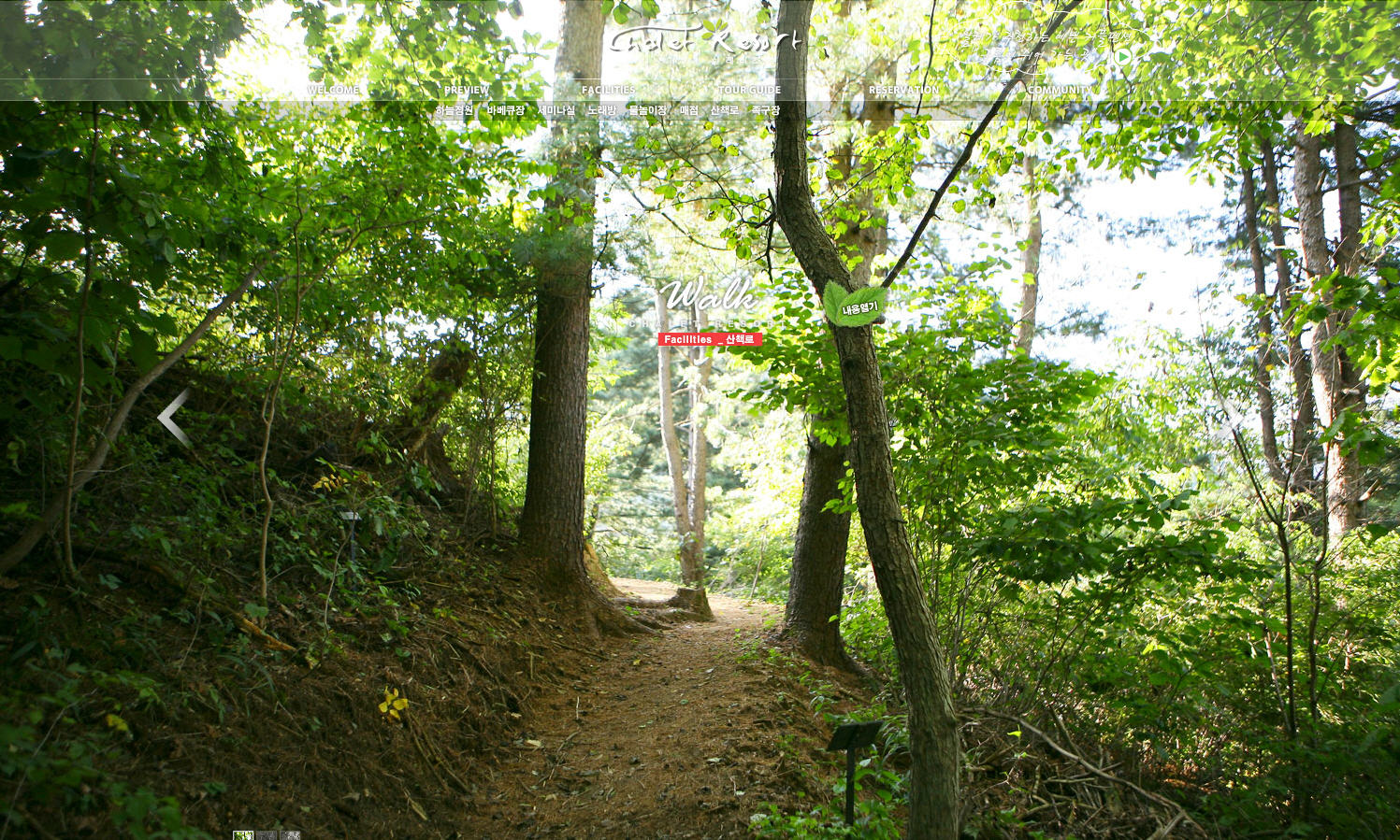 p13.jpg