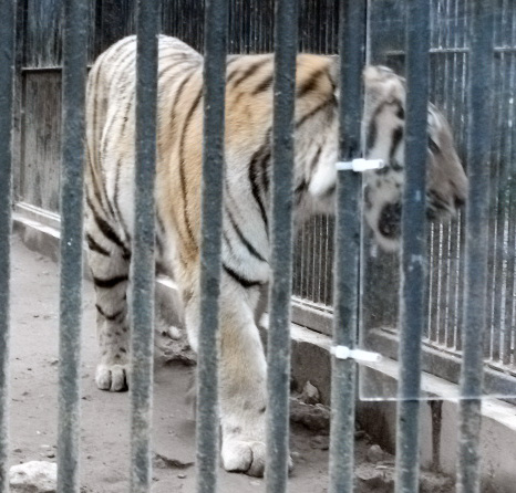 DSCF6377.JPG