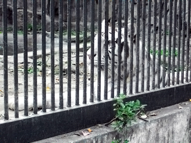 DSCF6374.JPG