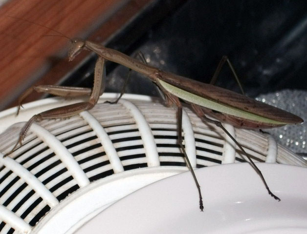 DSCF6082.JPG