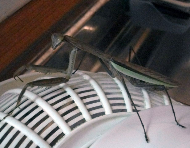 DSCF6084.JPG