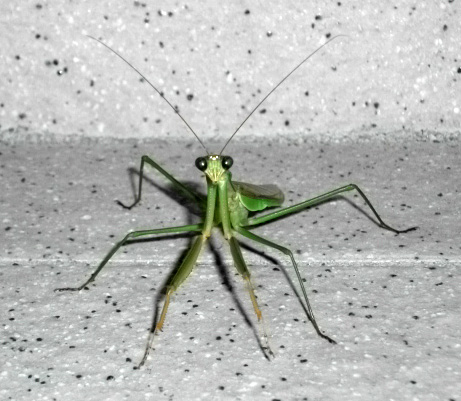 DSCF4366.JPG