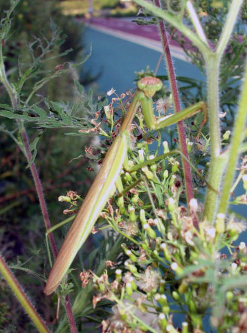 DSCF2872.JPG