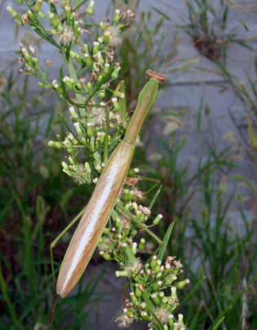 DSCF2874.JPG