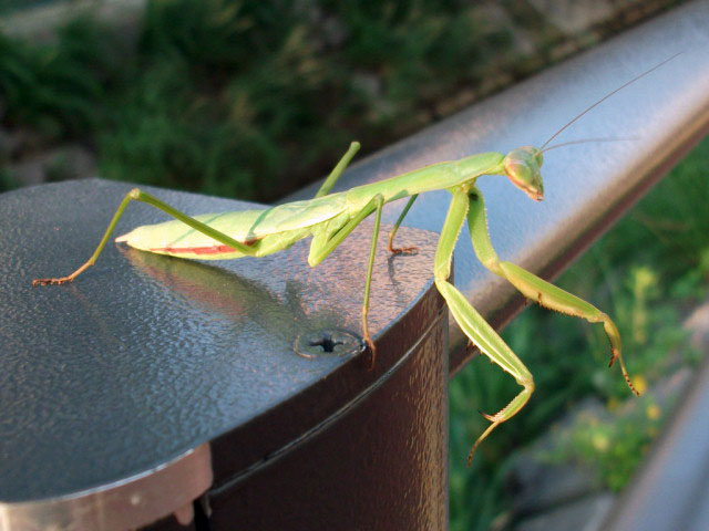 DSCF2879.JPG