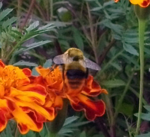 DSCF6209.JPG