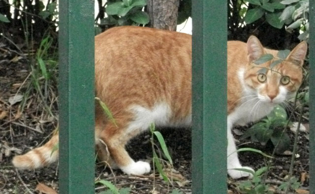 DSCF4278.JPG
