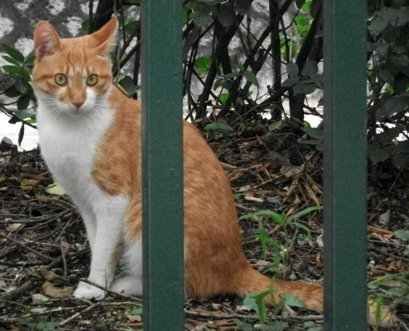 DSCF4279.JPG